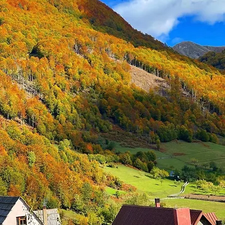 Alpini * Lepushe