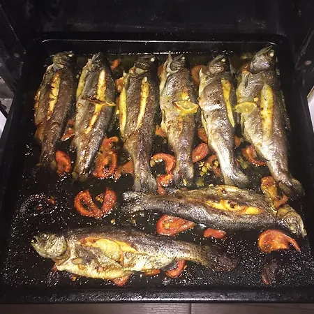 بيت ضيافة Alpini