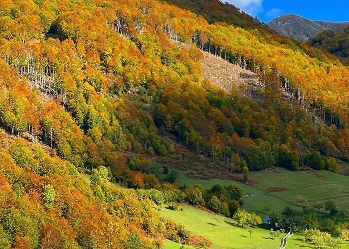 Alpini * Lepushe