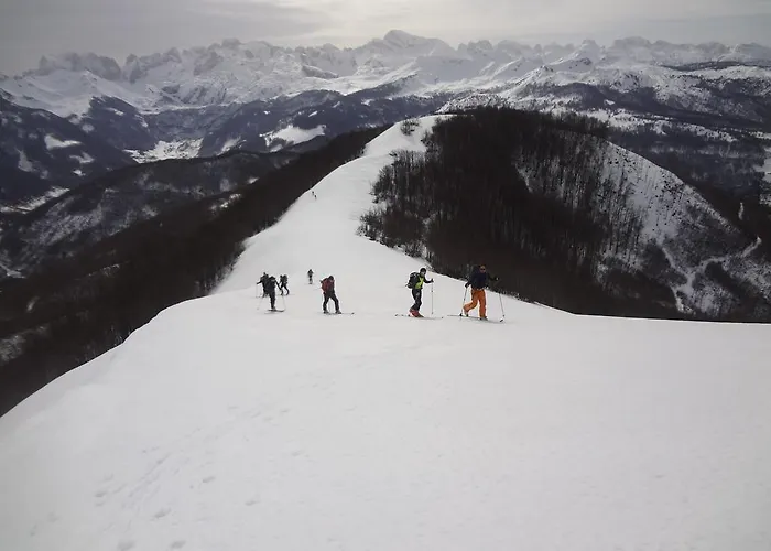 Alpini * Lepushe
