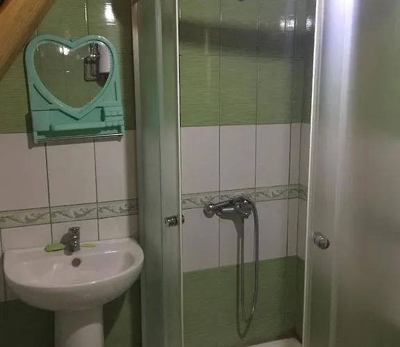 Casa de hóspedes Alpini *