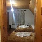 Alpini *