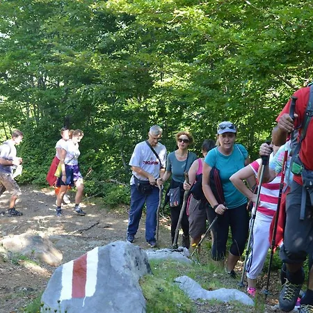 Alpini Lepushe